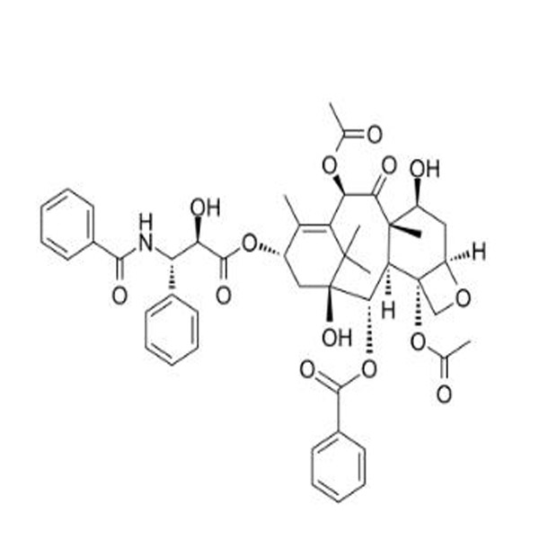 CAS 33069-62-4抗癌98％紫杉醇粉价格