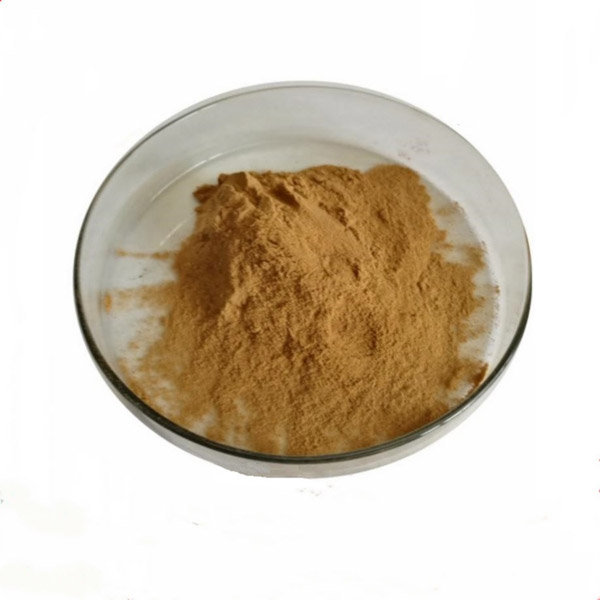 供应高纯度fulvic Acid CAS 479-66-3 Fulvic Acid粉末，以快速递送 